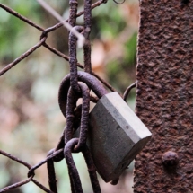 rusted-lock-and-fence
