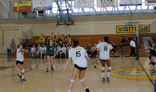 Sophomore Malia Yuhl bumps the ball after her serve. 
