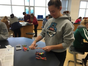 Junior Grace Demartini makes a DNA model using beads and pipe cleaners during Ms. Bledsoe’s AP Biology class. The course has had a lot of hands on activities similar to this one throughout the year.