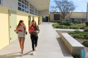  ASB students pass out roses during 4th period this Wednesday. There was an option to purchase an individual rose or a full performance.