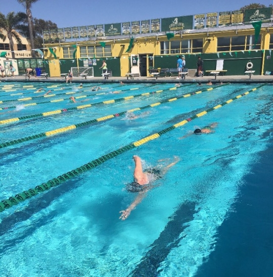 Mira Costa Junior Kenneth Noddings, Jr. swims his 1,500 yard warm up in preparation for swim practice on Tuesday afternoon. The Mira Costa Boys’ Swim placed 6th in the South Bay Invitational, which was held at the Costa pool.
