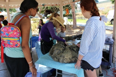 Volunteers at the Manhattan Beach Roundhouse show people the different sea life and give information on things going on at the aquarium. The aquarium brought sea stars so little kids could touch them without hurting them.