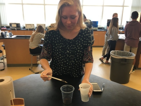 Junior Maci Vosberg transfers soil from one cup to another while in Miss Bledsoe’s 1st period class. Students in this class followed several steps, including transferring soil, in order to grow plants used for an experiment. 