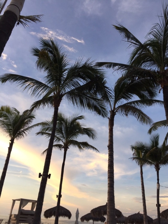 tumblr_ooxhbwdIDk1worr81o10_540