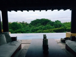 tumblr_ooxhbwdIDk1worr81o6_250