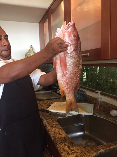 tumblr_ooxhbwdIDk1worr81o7_400