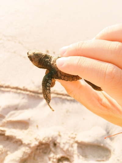 tumblr_ooxhbwdIDk1worr81o8_400