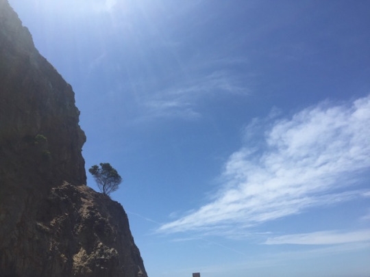 tumblr_oozasoczHv1worqo6o3_540