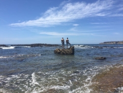 tumblr_oozasoczHv1worqo6o4_250