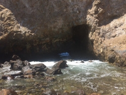 tumblr_oozasoczHv1worqo6o6_250