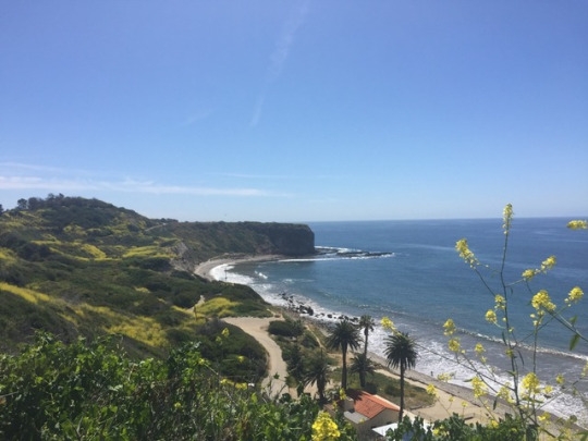 tumblr_oozasoczHv1worqo6o9_540