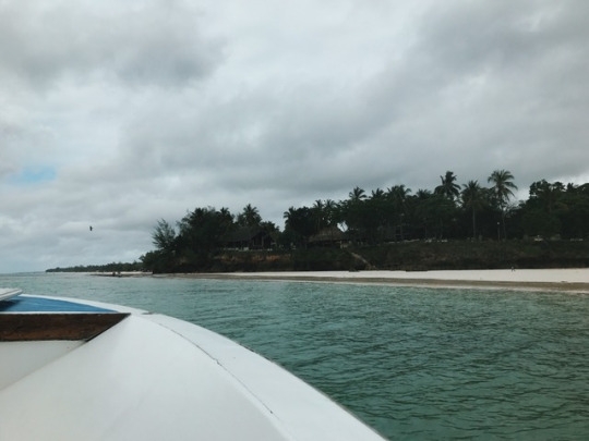 tumblr_ooxgxf9Xu41worqbxo10_540