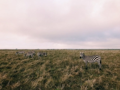 tumblr_ooxgxf9Xu41worqbxo1_400