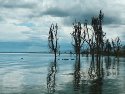 tumblr_ooxgxf9Xu41worqbxo2_400