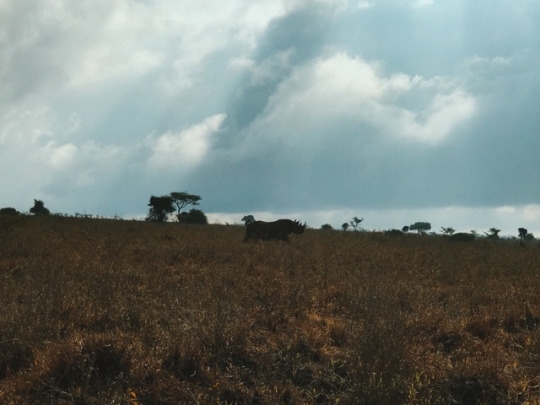 tumblr_ooxgxf9Xu41worqbxo3_540