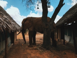 tumblr_ooxgxf9Xu41worqbxo6_250