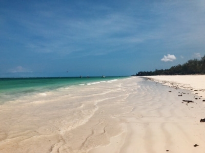 tumblr_ooxgxf9Xu41worqbxo8_400