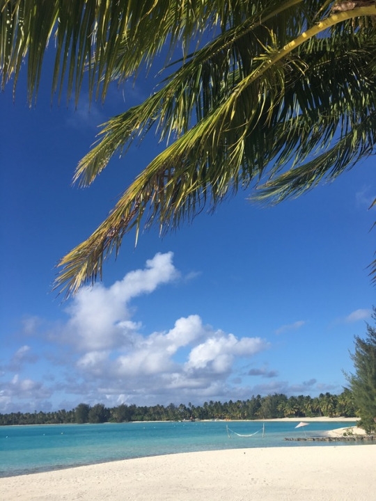 The beach at this hotel is surrounded by clear waters, palm trees, and lots of white sand. After exploring their room, the Rays headed to the beach to experience more beauty and get a better feel for the French Polynesian life style.