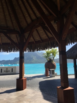 Once guests check in, they are told to wait in a designated area for a golf cart to take them and their luggage to the their overwater bungalows. The Rays waited for their cart to come pick them under a shaded cabana while also looking over the beautiful water.