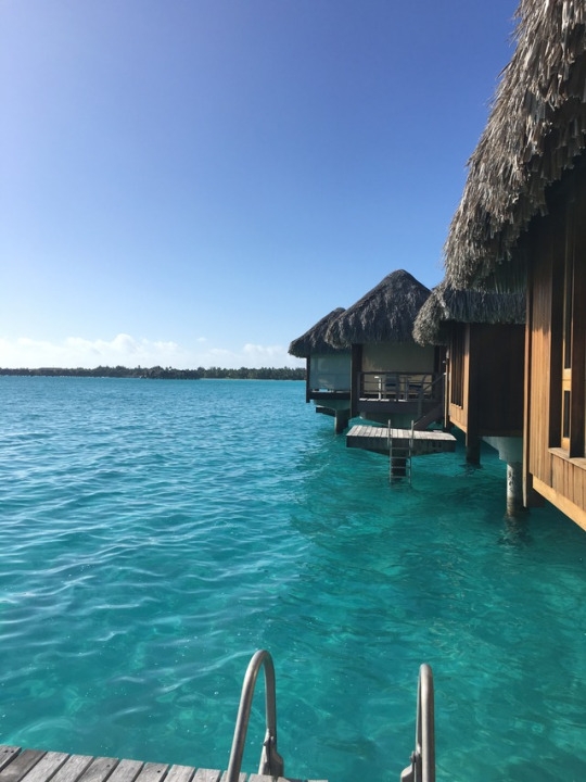 The back patio has a view of the other over water bungalows, but is secluded enough to provide guests with privacy. This room had a small ladder propelling into the water for easy access and an outdoor shower to rinse off the salt after a swim.