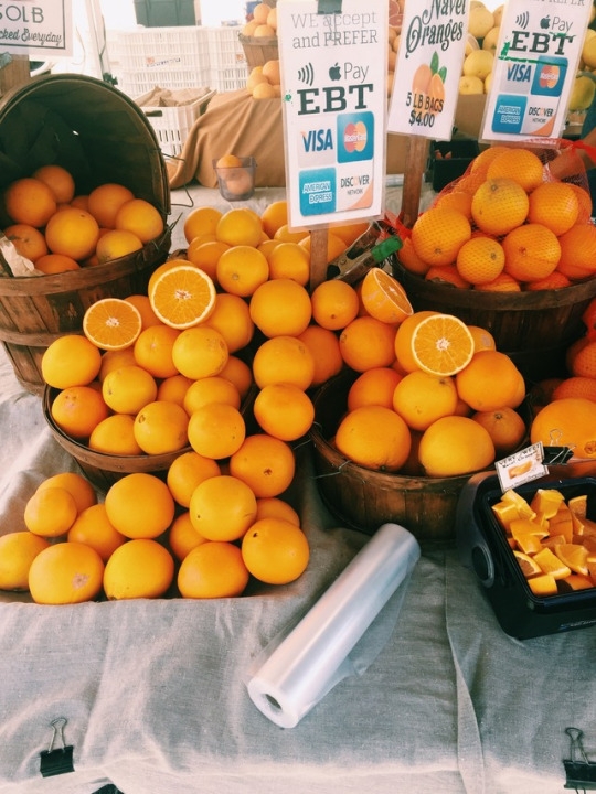 The Hermosa Beach Farmer’s Market is famous for selling California grown oranges. The vendors laid out free taste test of many different types of oranges so the buyers could decide before they made their purchase.