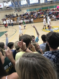 tumblr_opswyqbQy11worr81o6_250