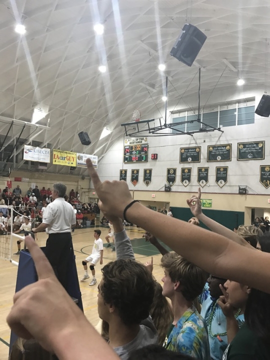 tumblr_opswyqbQy11worr81o7_540