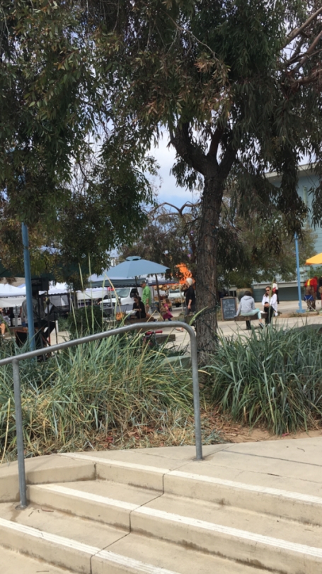 tumblr_oqqr1xdT9v1worqsjo10_540