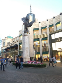 tumblr_oqrscvF8R81wowcbqo4_250