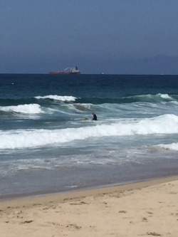 tumblr_oqvupanSxl1worqxbo4_250