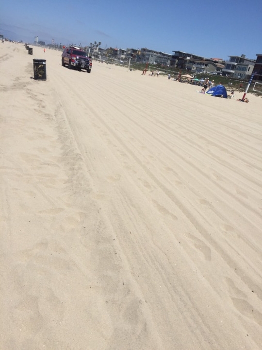 tumblr_oqvupanSxl1worqxbo9_540