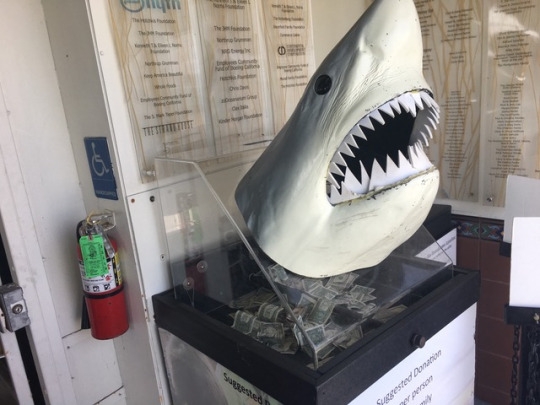 tumblr_oqwpf7PtT71worqr7o3_540