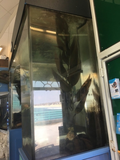 tumblr_oqwpf7PtT71worqr7o5_400