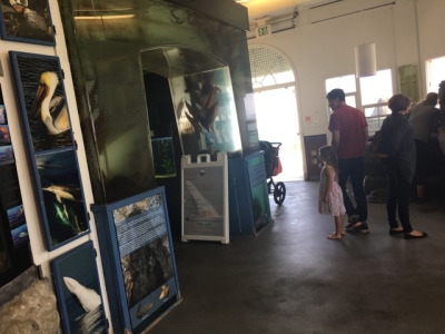 tumblr_oqwqnpZI3Y1worqr7o2_400