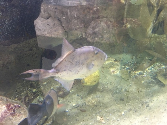 tumblr_oqwqnpZI3Y1worqr7o3_540