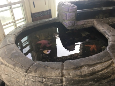 tumblr_oqwqnpZI3Y1worqr7o5_400