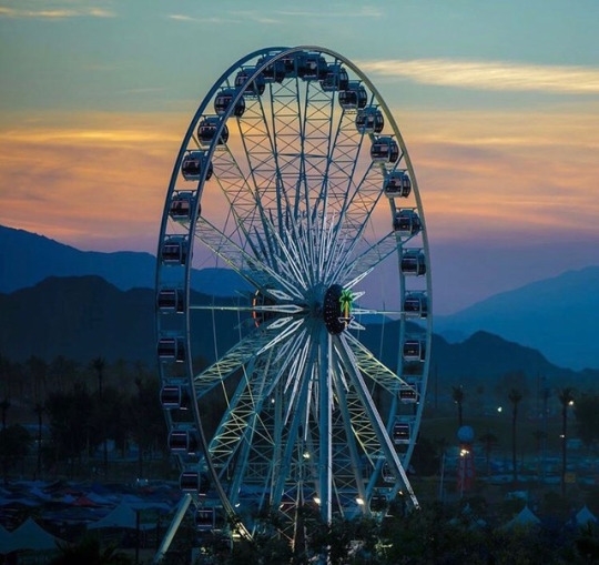 tumblr_oqxd3domsF1worrvuo5_540