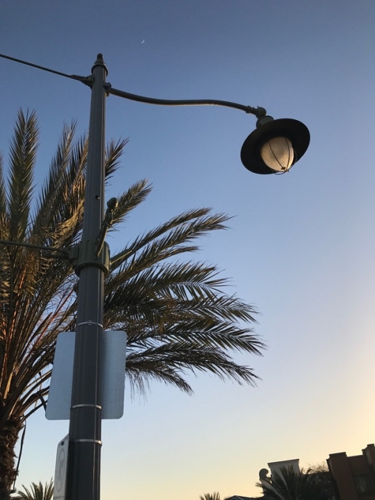 These classic green lamps have a similar look to the La La Land ones. The permanent green lamp posts are located along Pier Ave. 