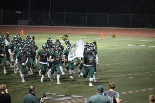 tumblr_p048dl7yKl1u2sxh2o1_540