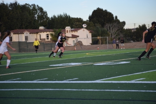 tumblr_p10fxiT3CE1u2sxh2o5_540