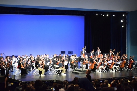 tumblr_p4923zcckQ1u2sxh2o1_540