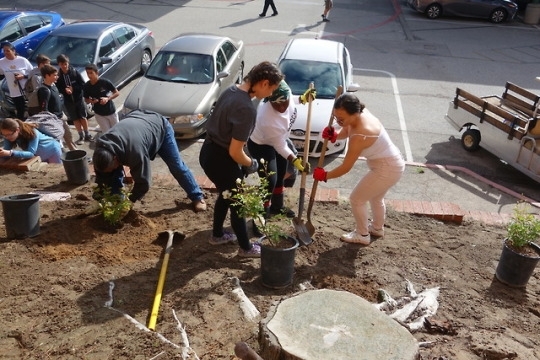 tumblr_p60k7nYUej1u2sxh2o3_540