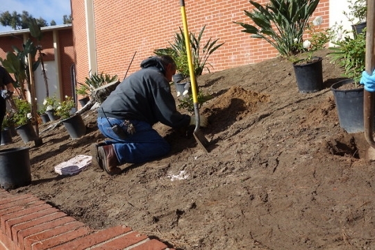 tumblr_p60k7nYUej1u2sxh2o5_540