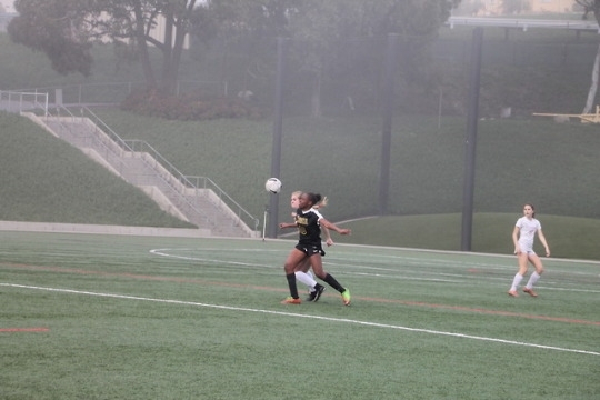 tumblr_p622nfdawJ1u2sxh2o5_540